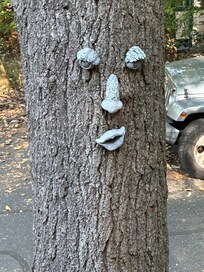 Just a wonderful touch of whimsy.