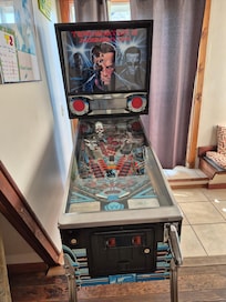 Pinball game