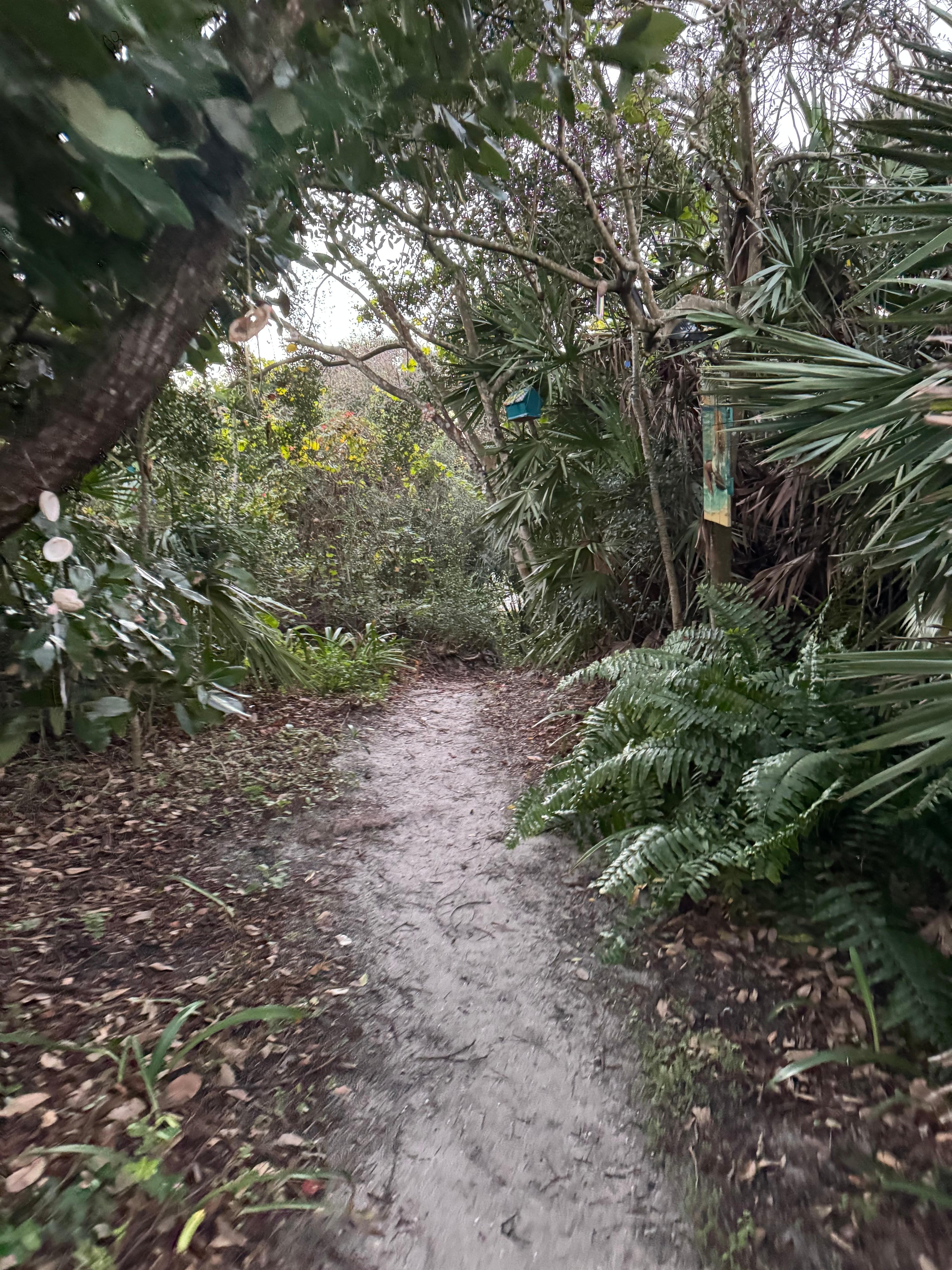 Passage way to the ocean 