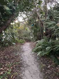 Passage way to the ocean