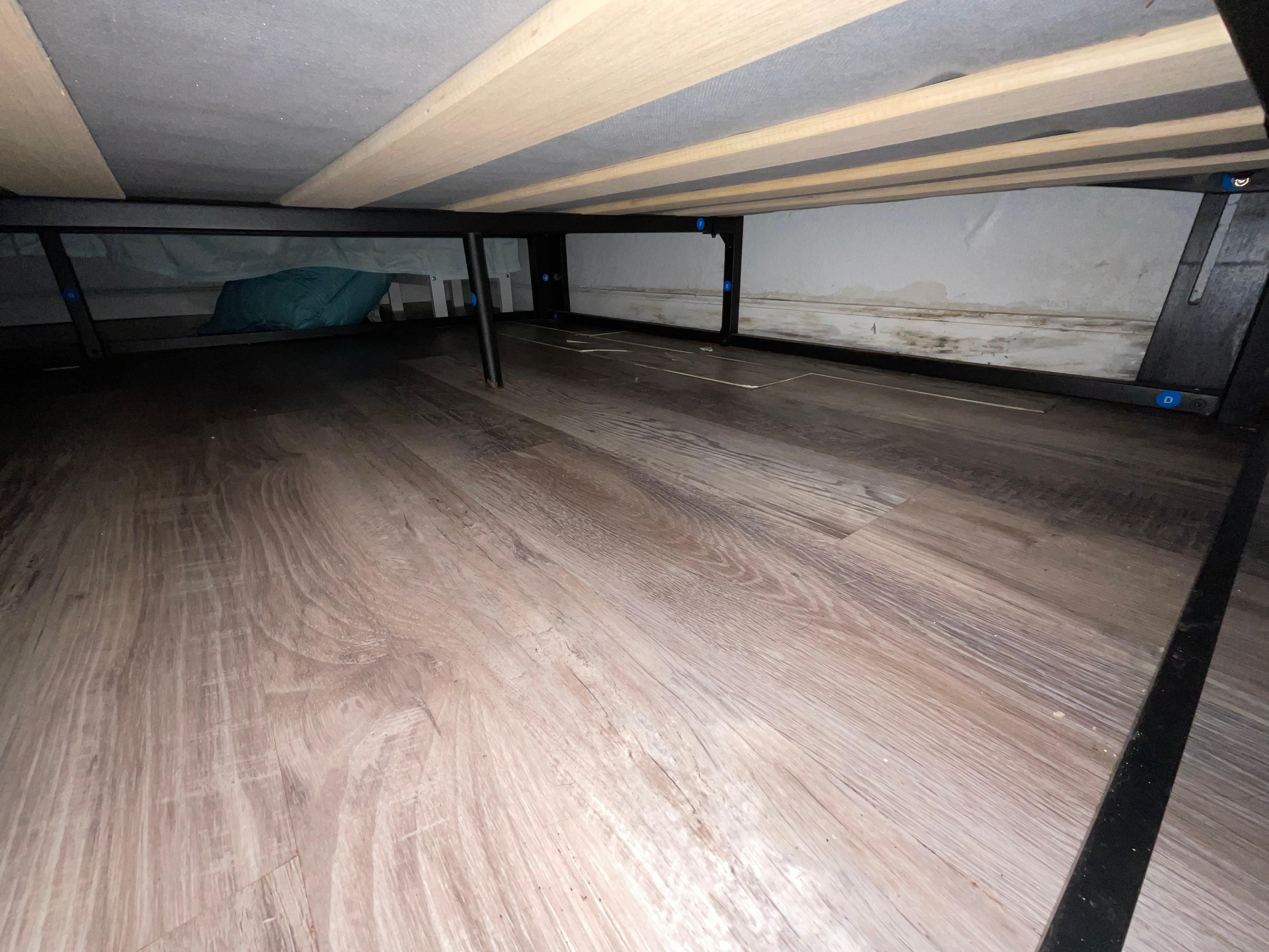 Mold growing under bed on wall