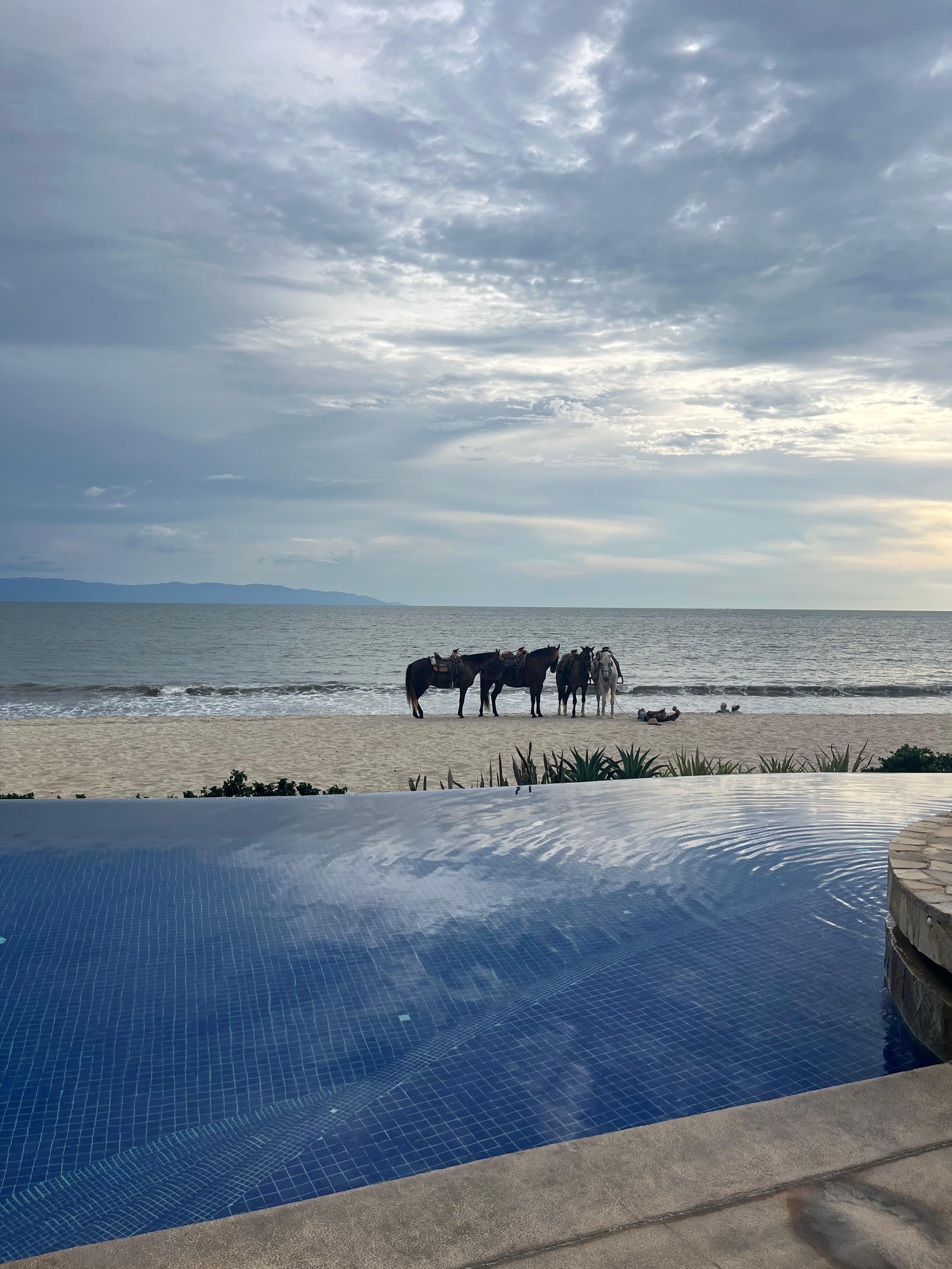 Infinity pool on the beach