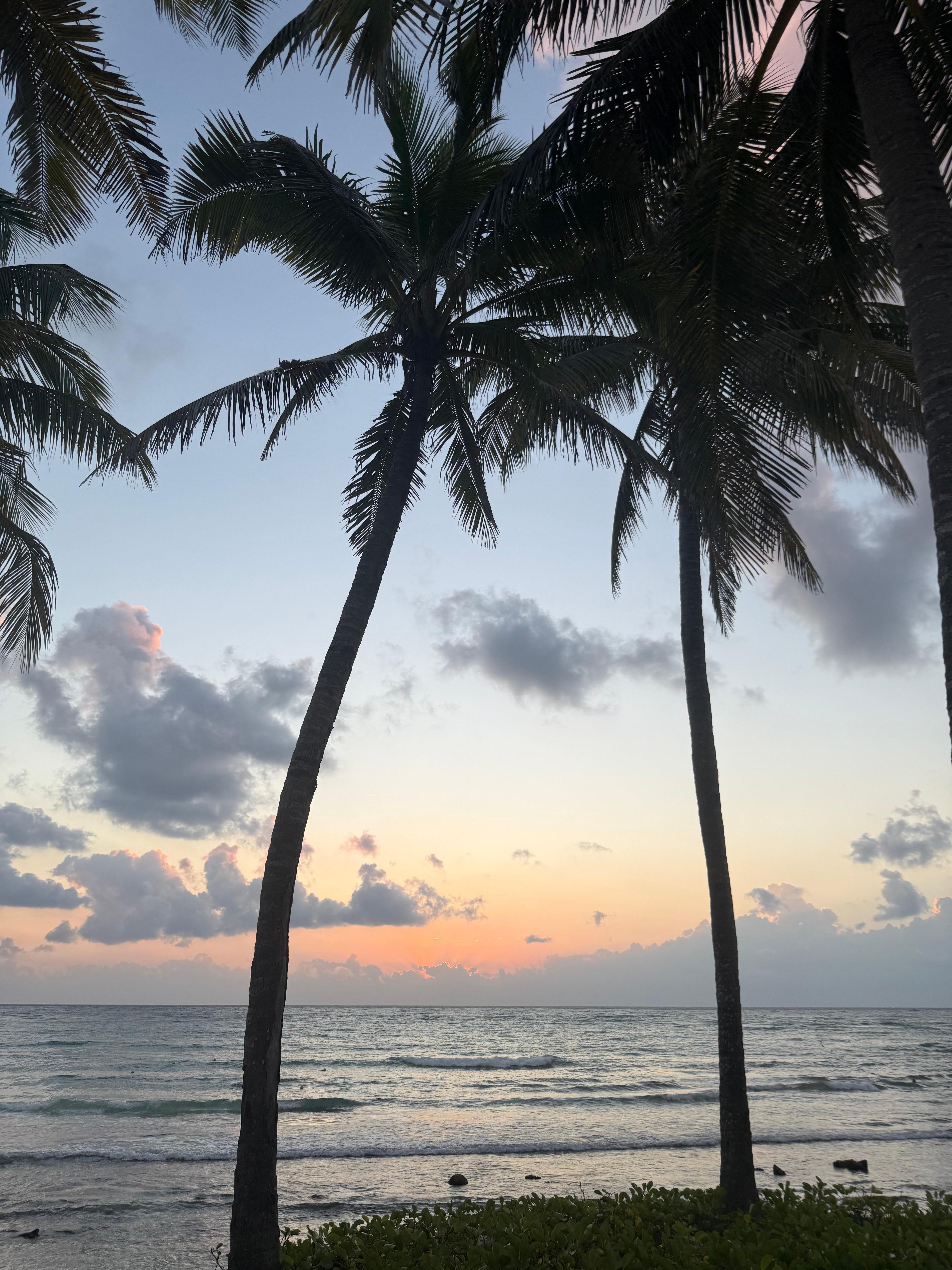 Sunrise near the dock