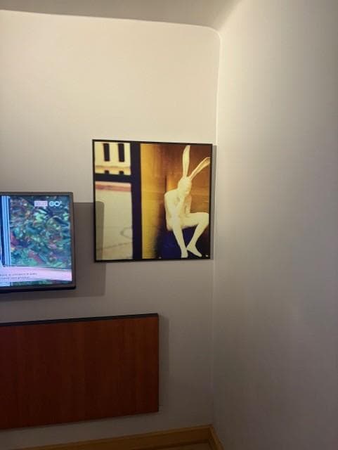 Billede på værelse er meget deprimerende. 