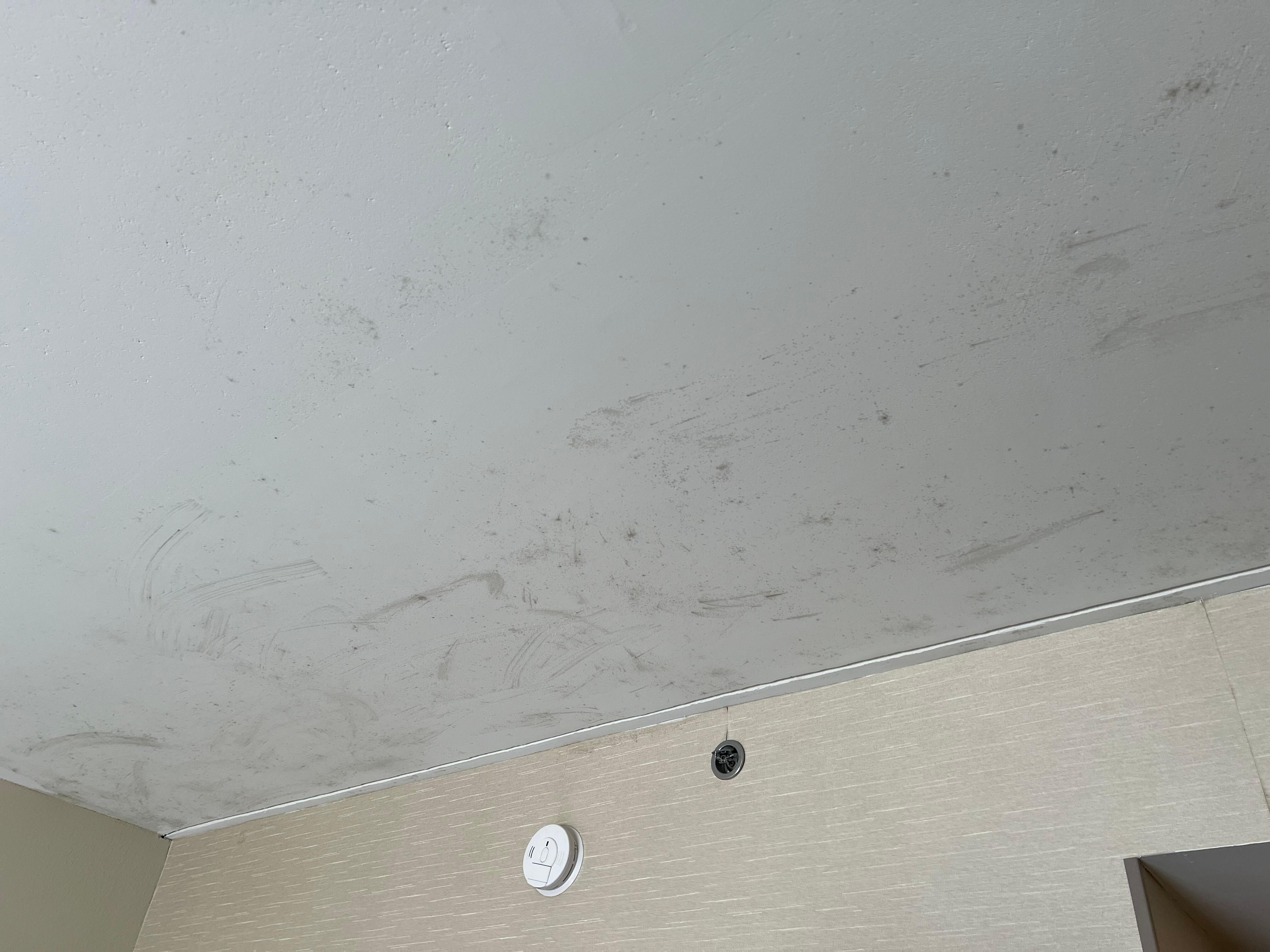 More mold in room 222