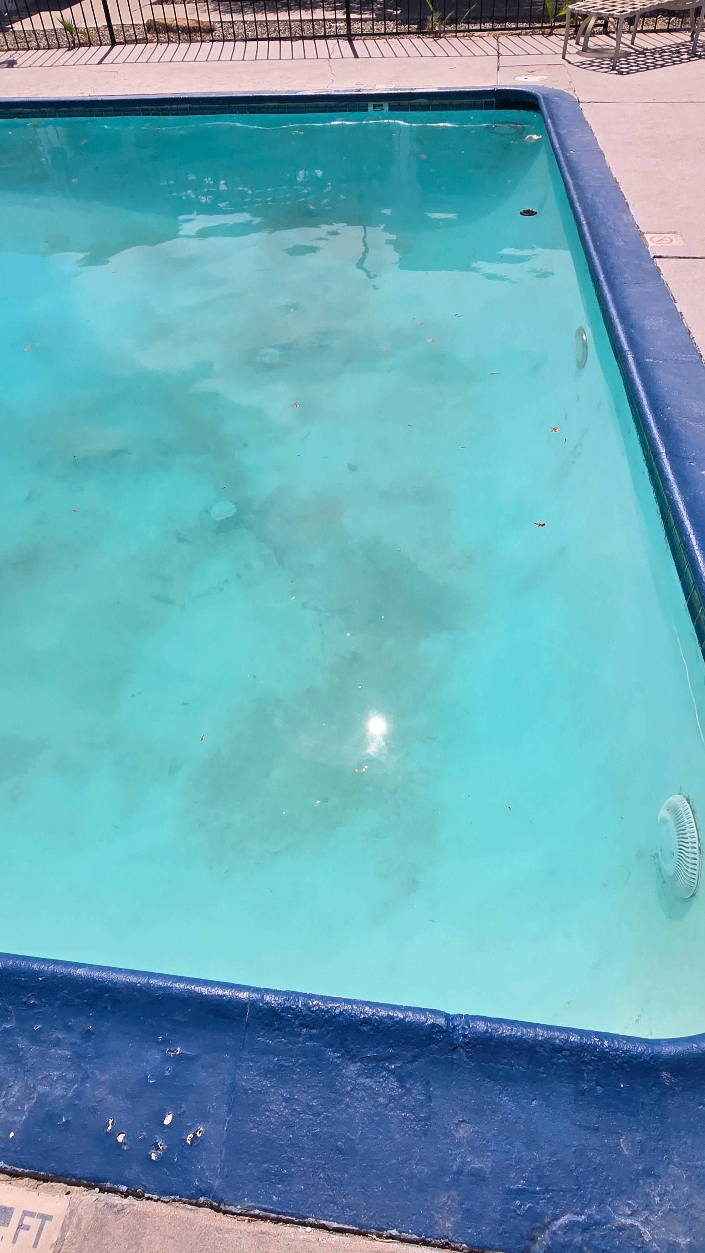 Dirty Pool water, floating trash.