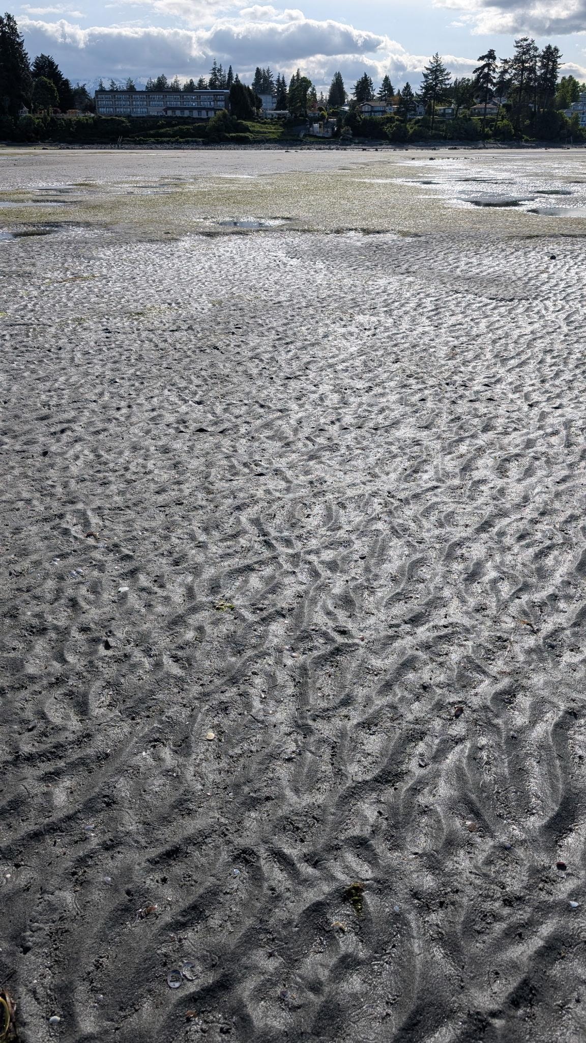 View of the hotel building from the rippled sandy beach at low tide.