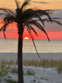 The most beautiful sunsets 🌅