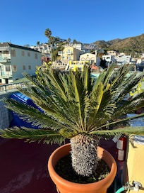 Rooftop area