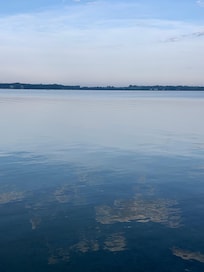 View of lake from patio/dock.