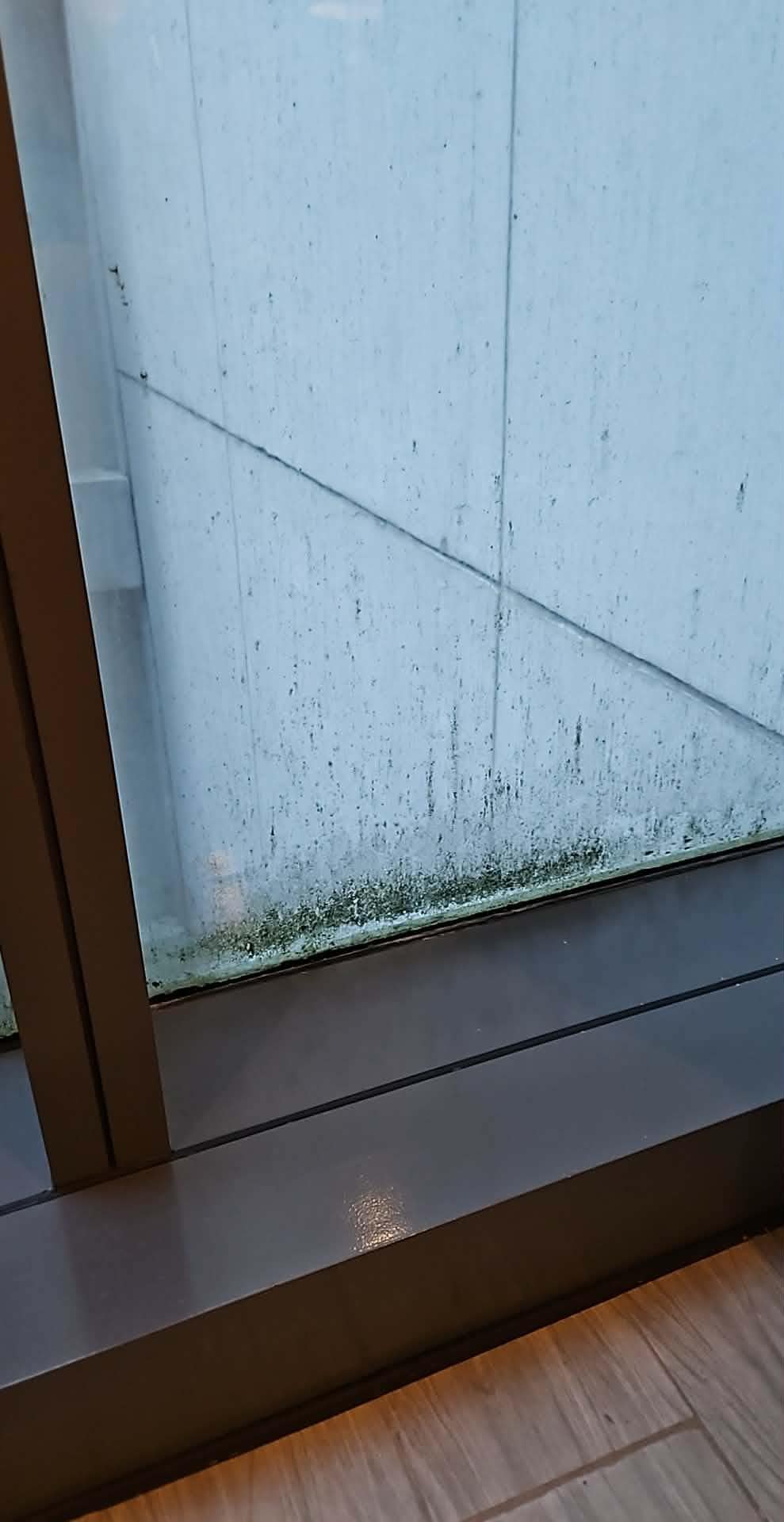 Window of standard room,  interior of glass is clean, the mildew is external and the result of obvious conditions of humidity. Just a bit jarring to have this in a Savoy hotel 