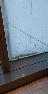 Window of standard room, interior of glass is clean, the mildew is external and the result of obvious conditions of humidity. Just a bit jarring to have this in a Savoy hotel