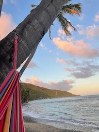 View from the hammock