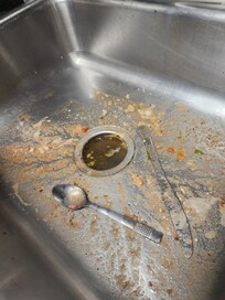 Disgusting and then the dishwasher was a hot mess too all the dirty water was rising to the sink