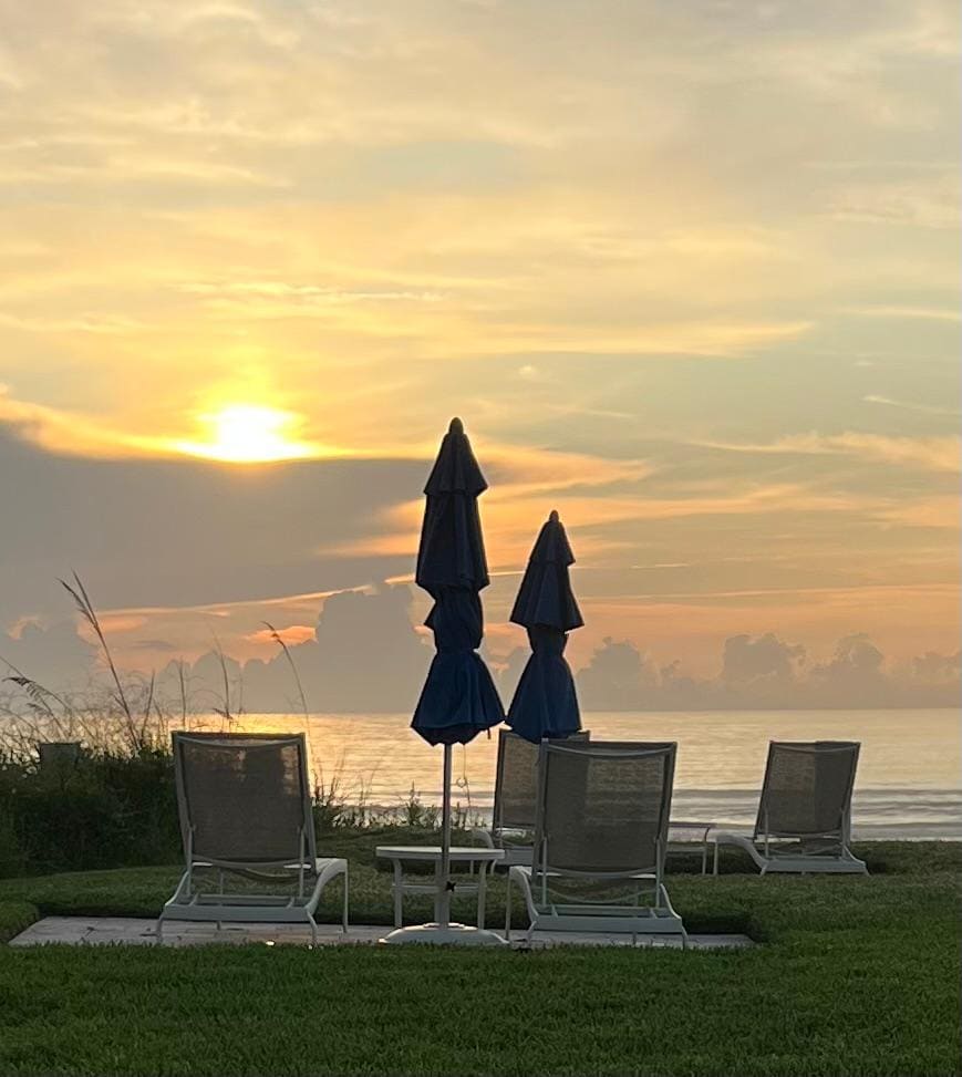 Morning view from patio