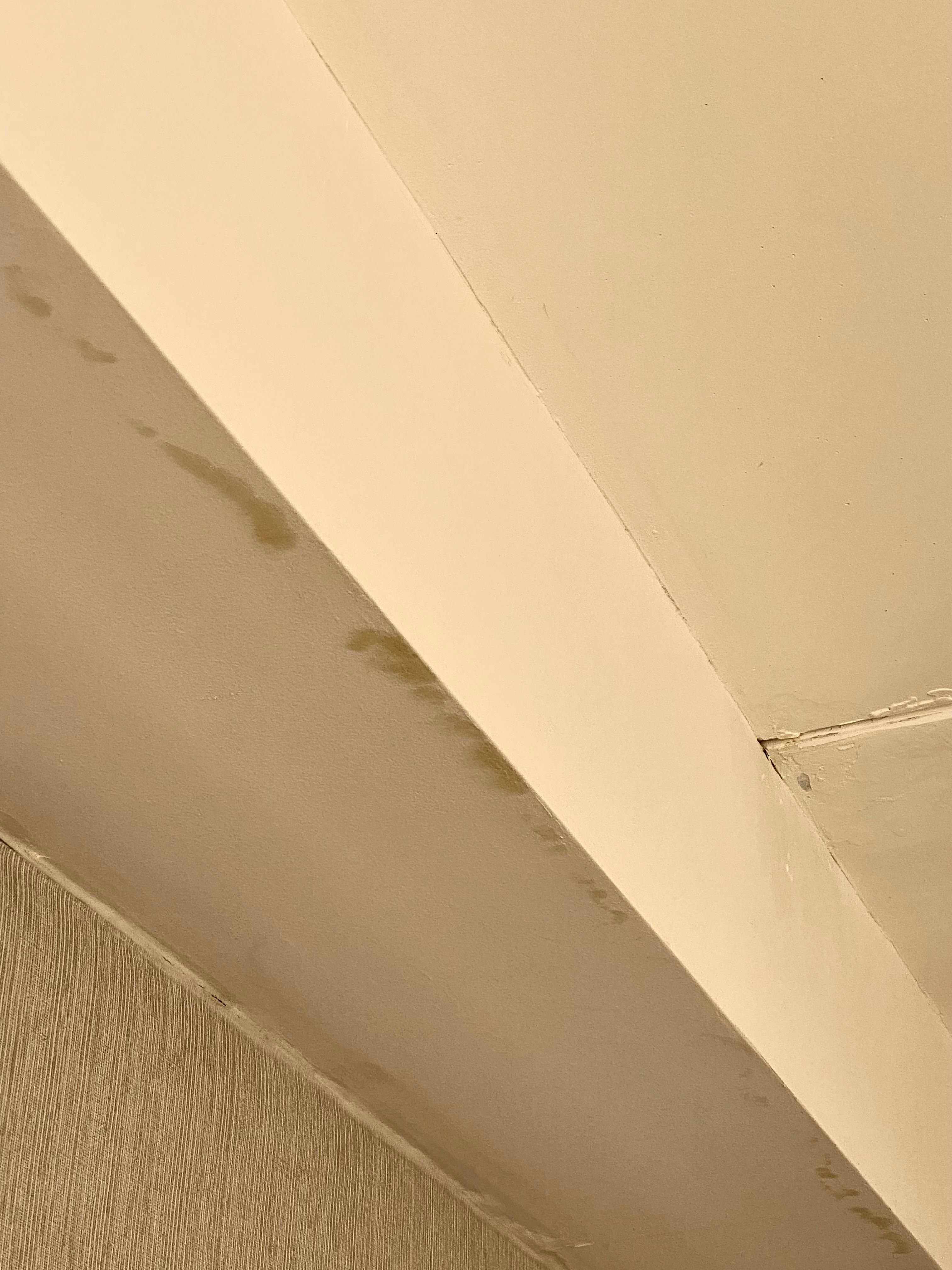 The stains on the ceiling. Look like damp stains 