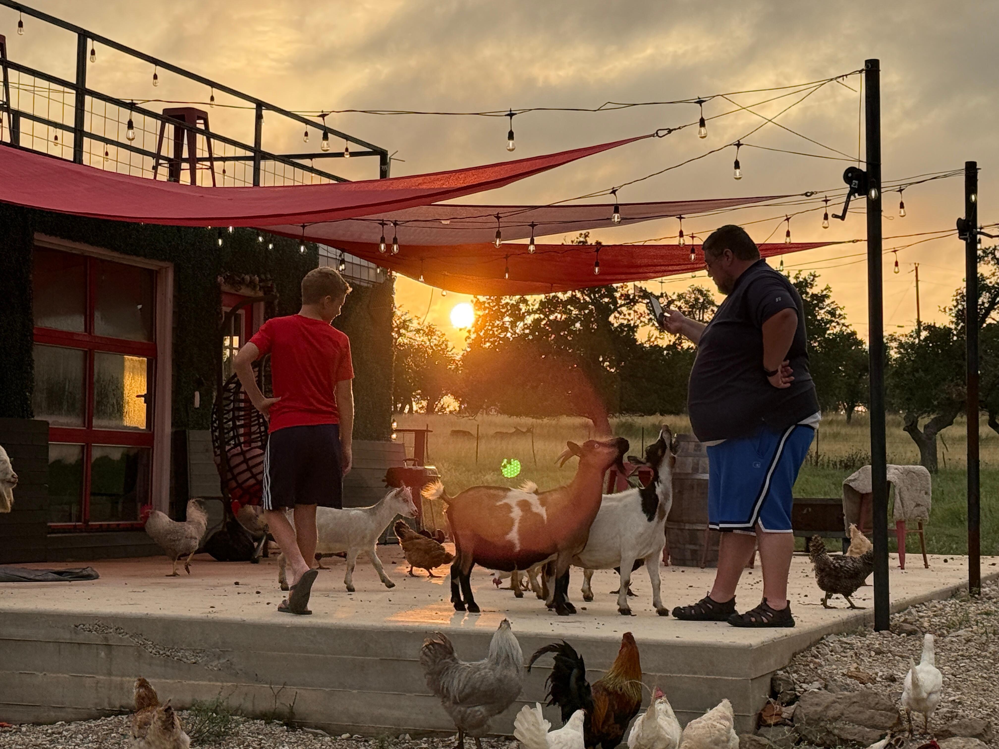 Goats, chickens, ducks, geese, cows, and even a friendly barn cat kept us company! The aviary had so many interesting birds as well! 
