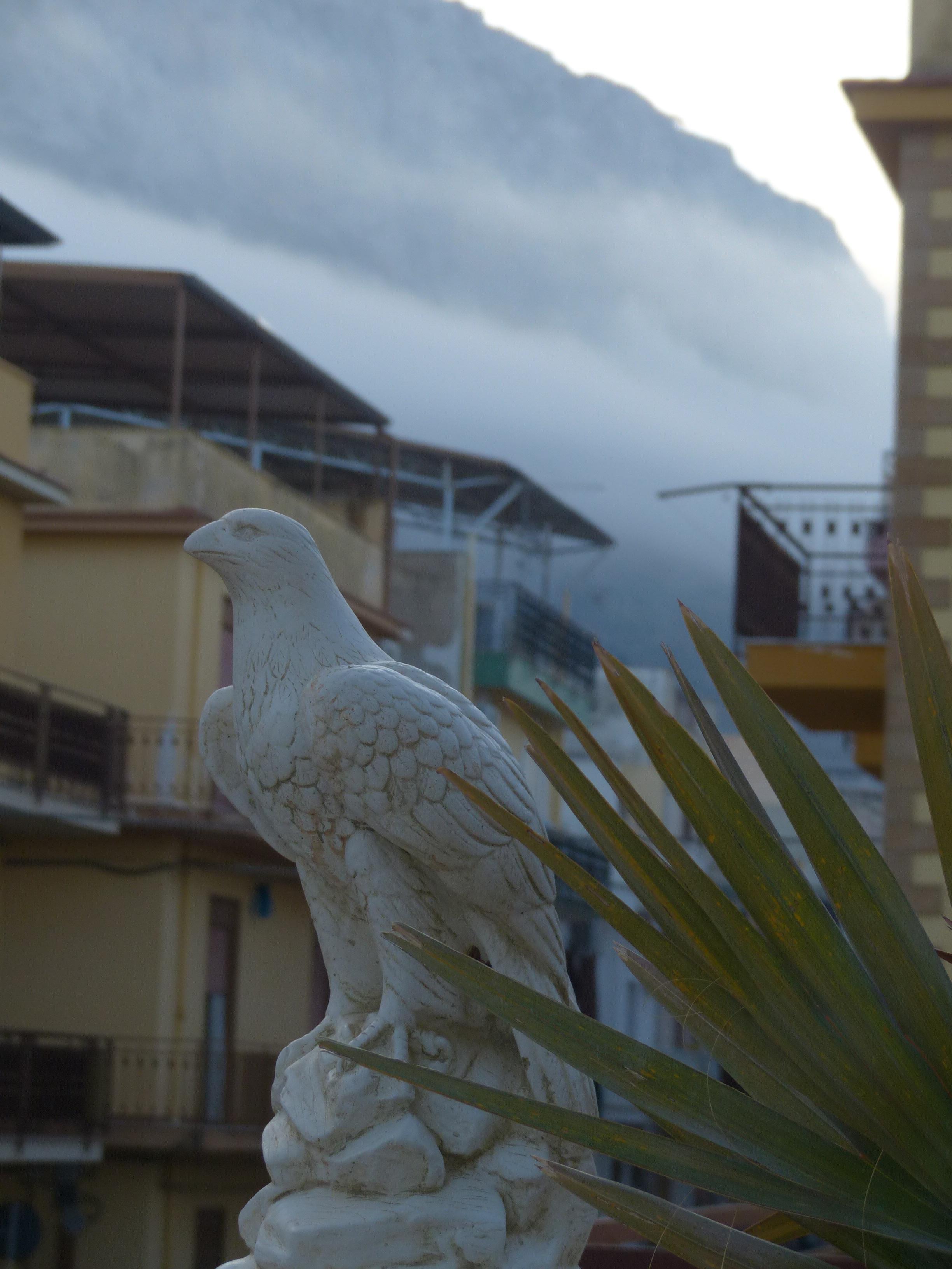 Blick von der Terrasse