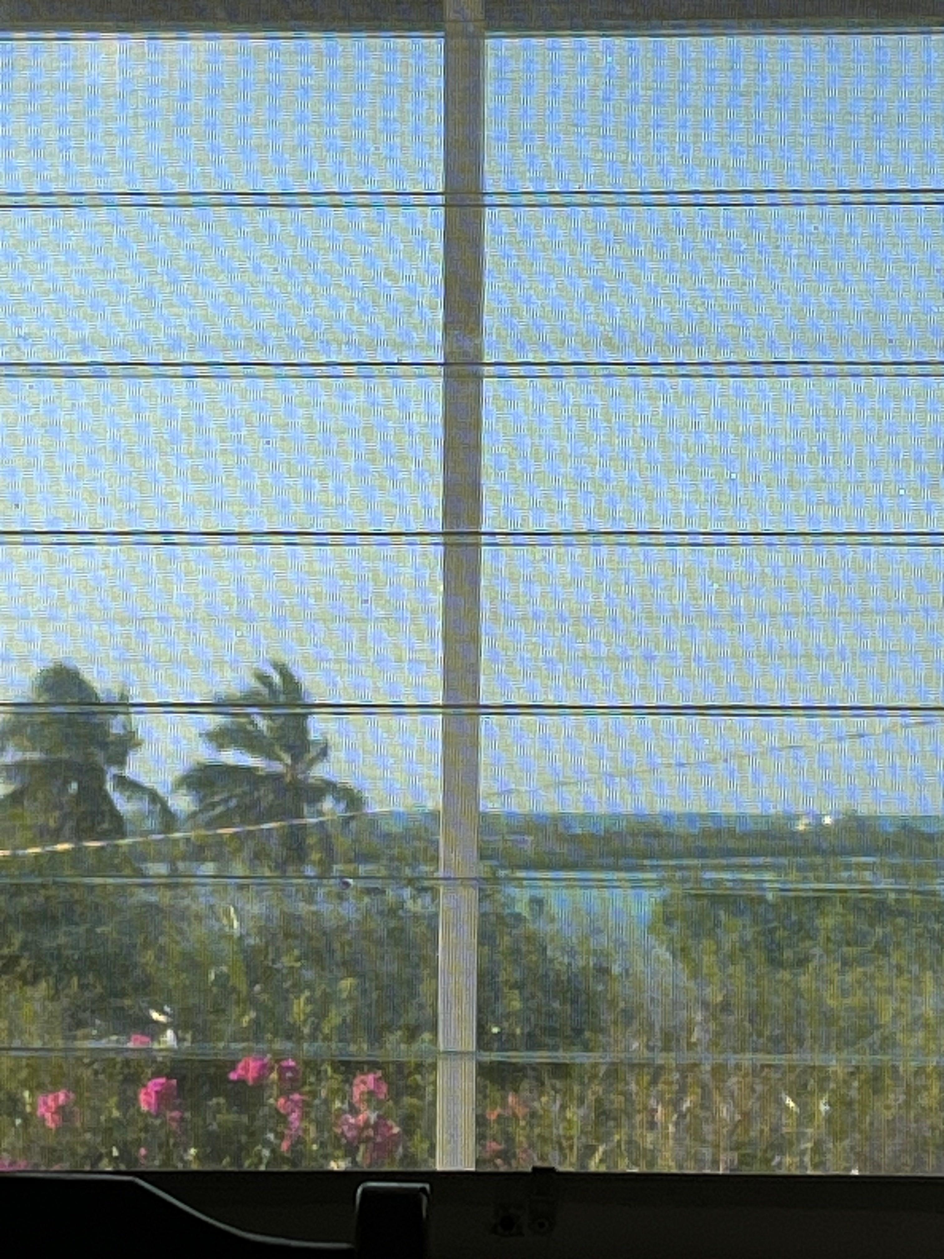 View from bed [through screened window and porch]