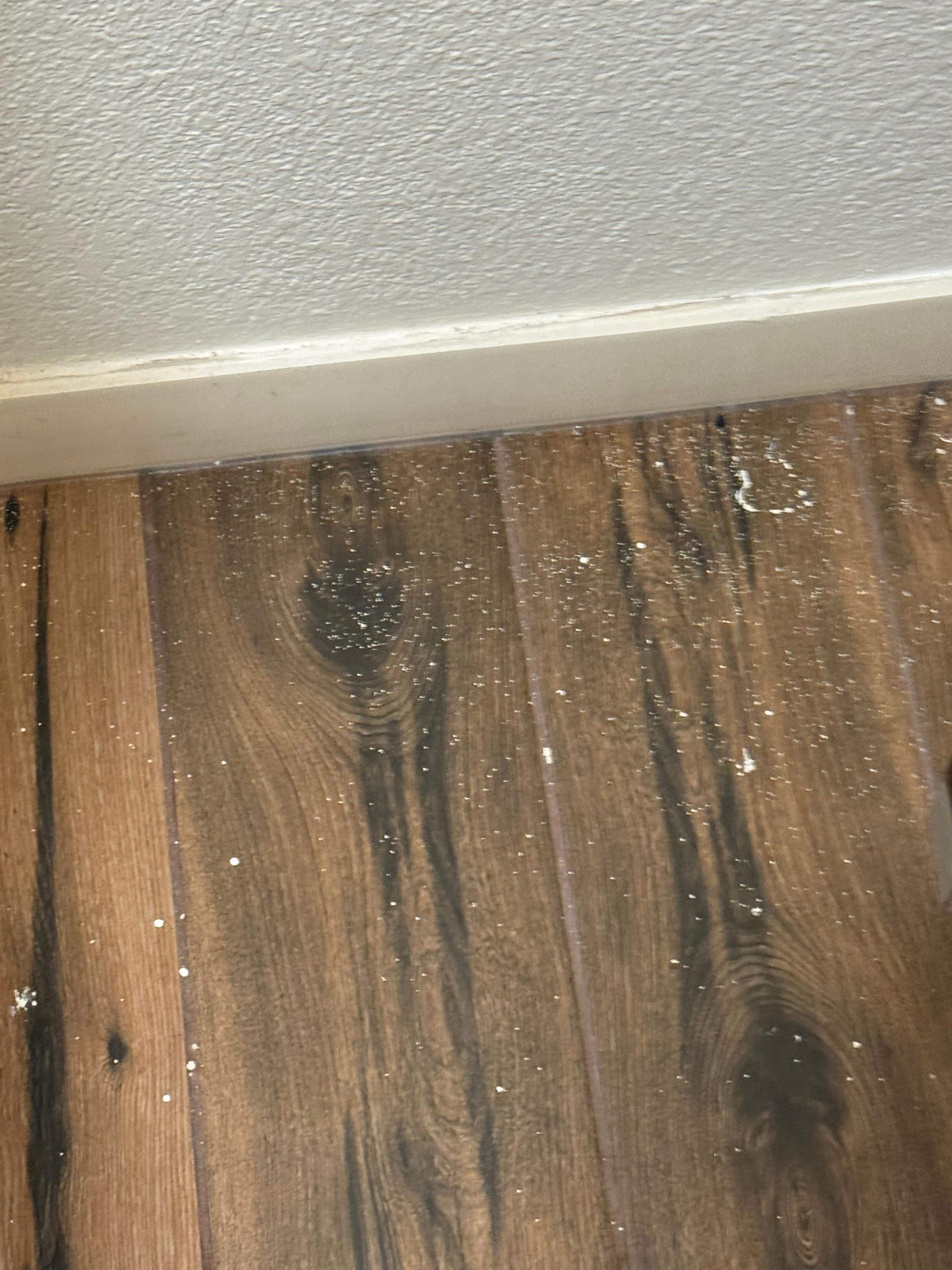 Paint splatter on bathroom floor 