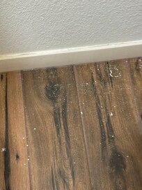 Paint splatter on bathroom floor