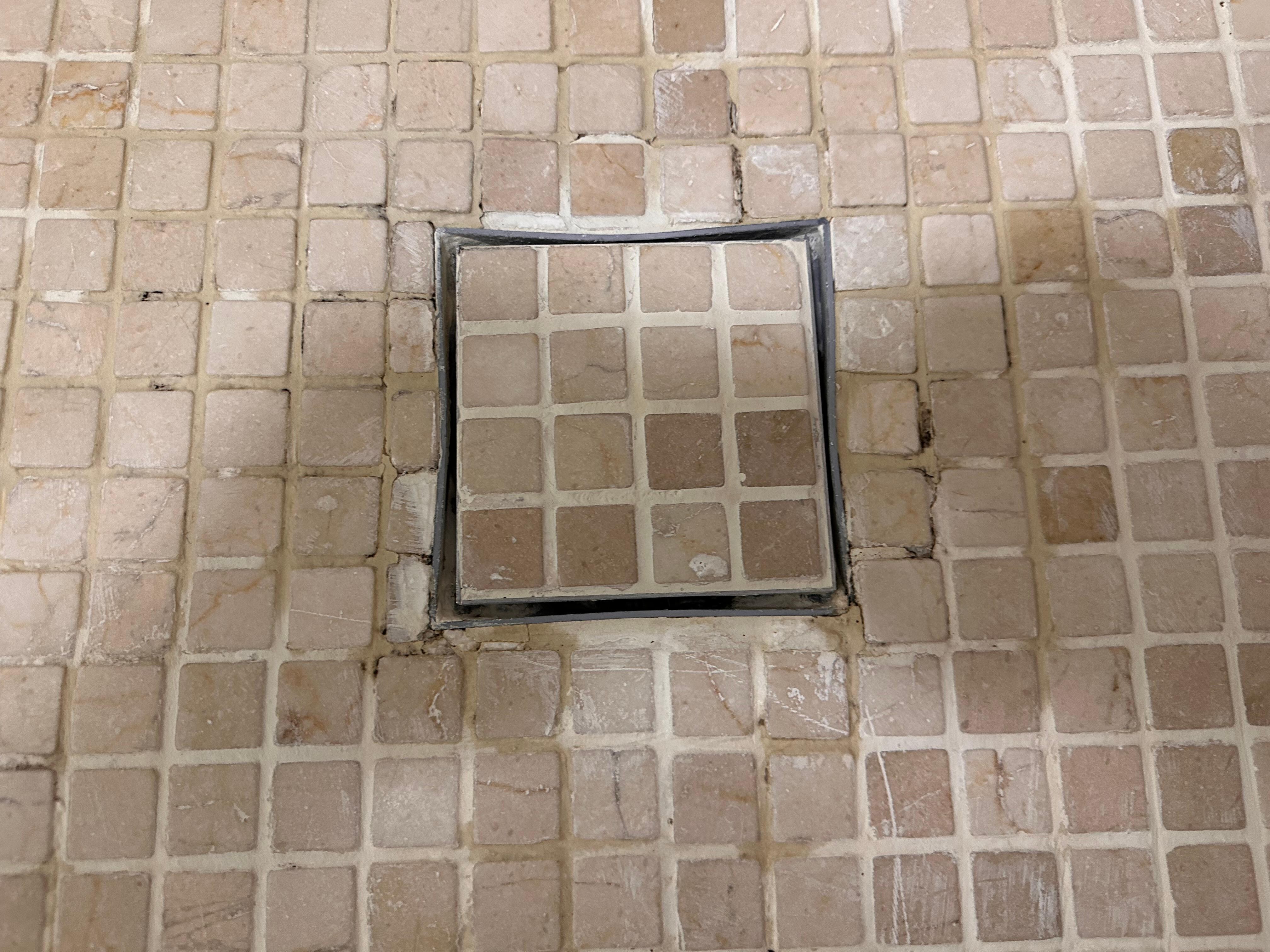 Shower plug hole damaged and mouldy