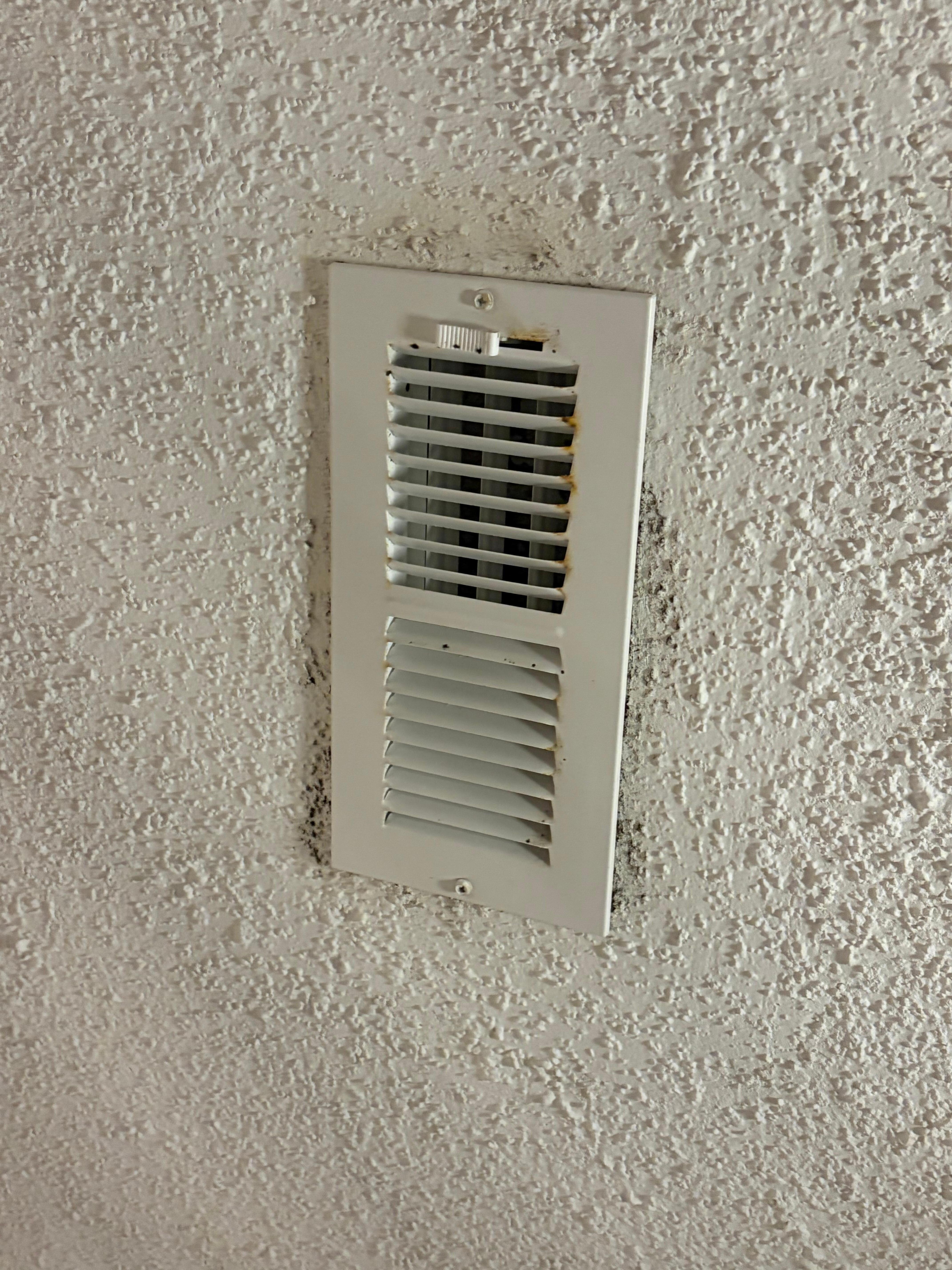 Same black "mold" visible around almost every vent in the home