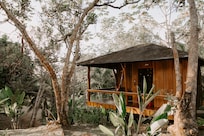 Private cabins immersed in the rainforest