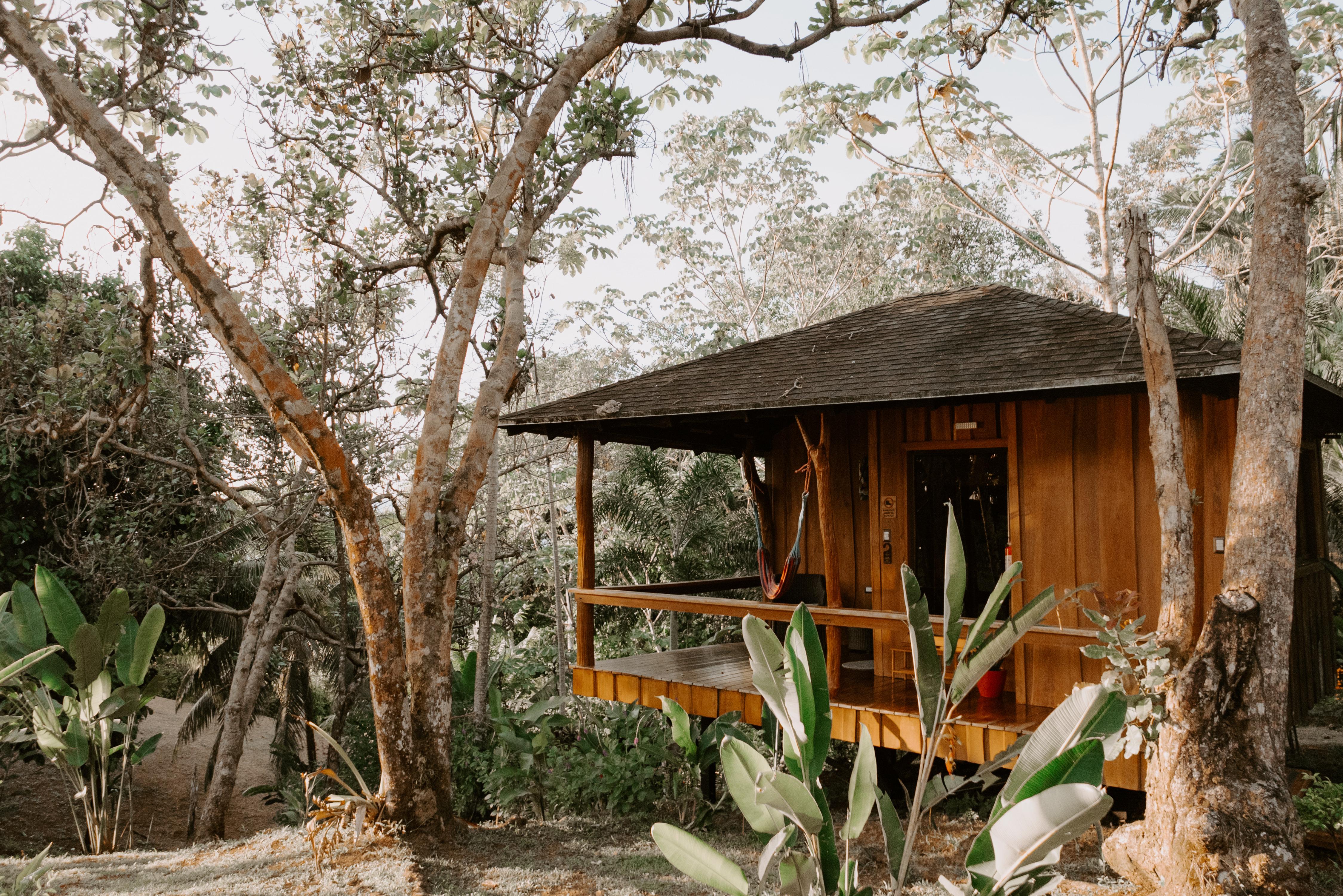 Private cabins immersed in the rainforest