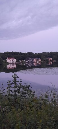 Ein kleiner See mit vielen Seerosen