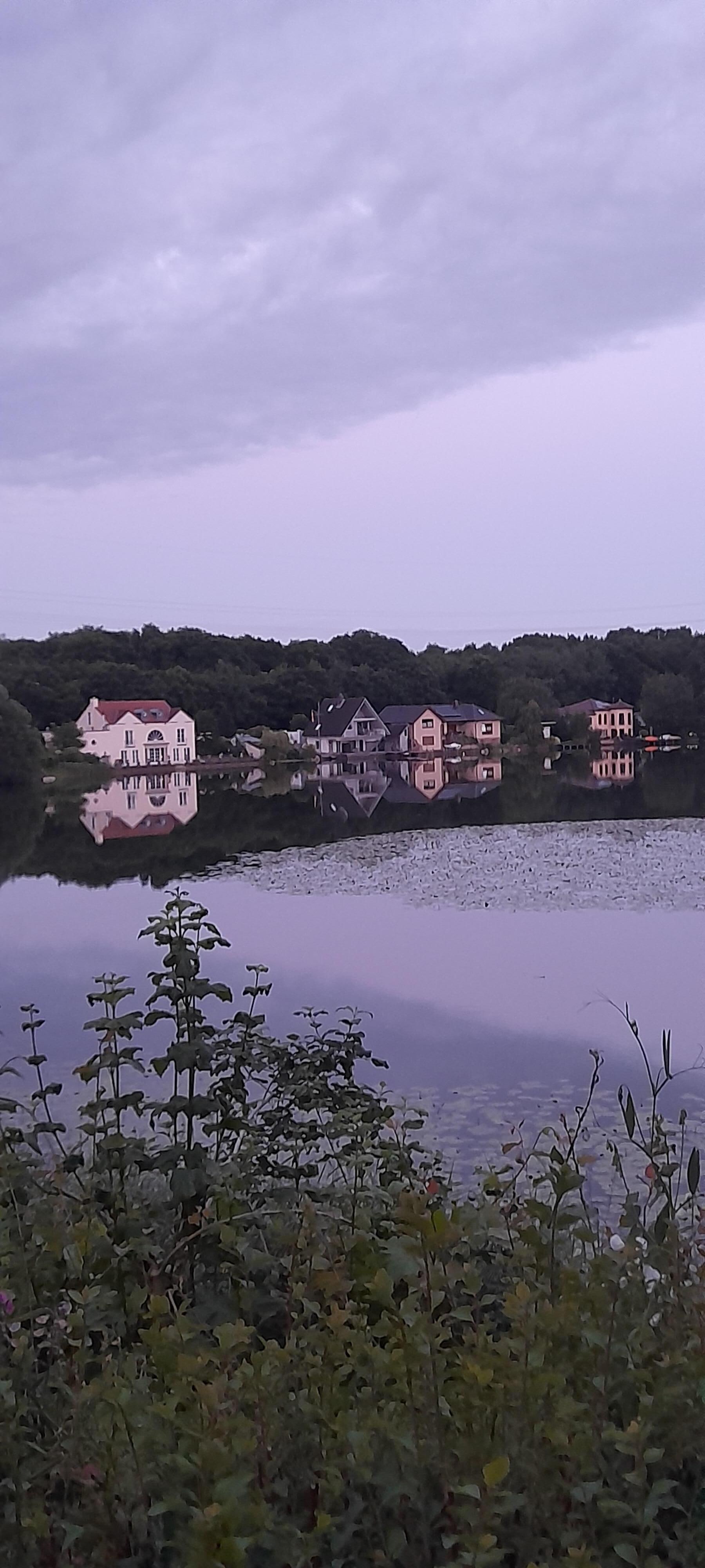 Ein kleiner See mit vielen Seerosen 