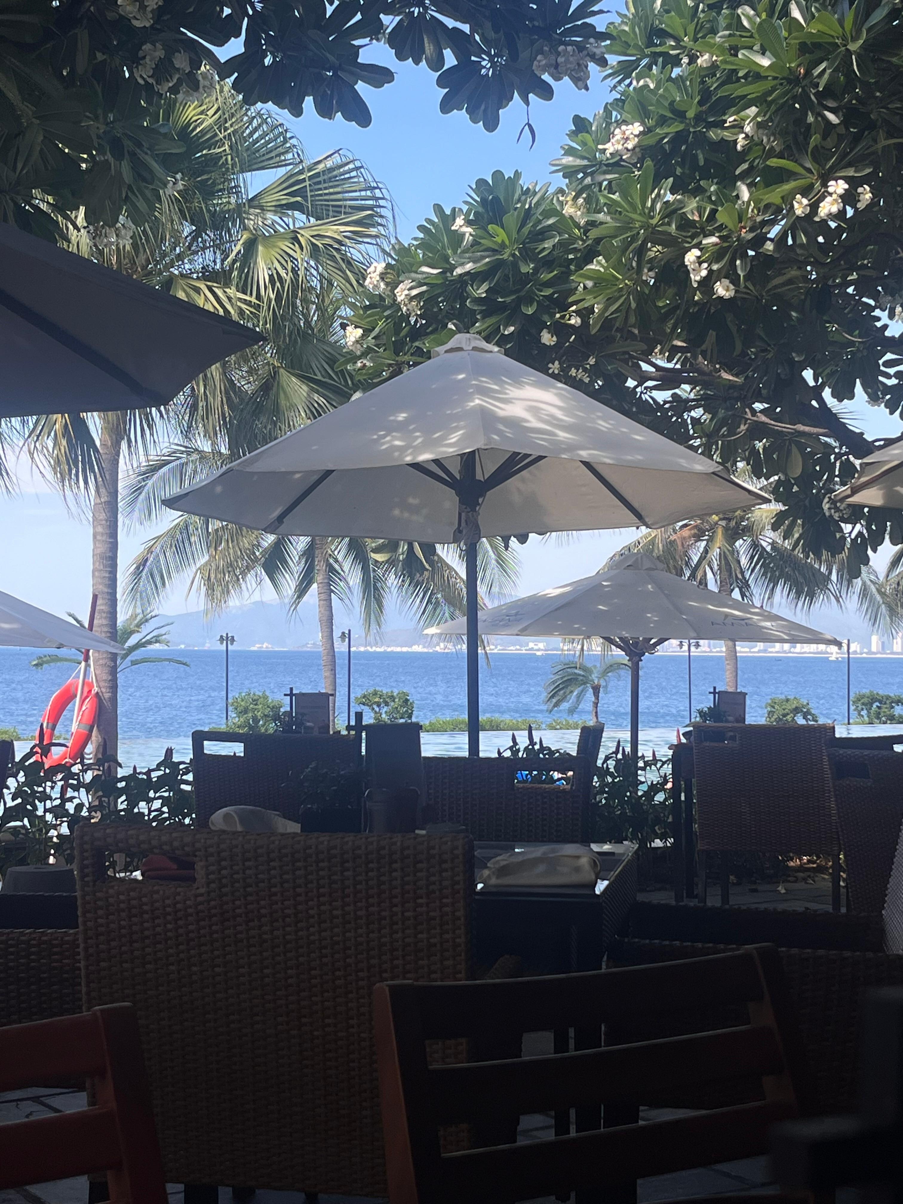 Breakfast view 