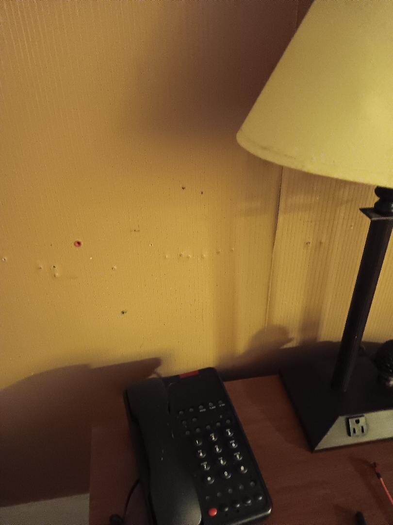 Holes in the wall next to the bed that were not patched.