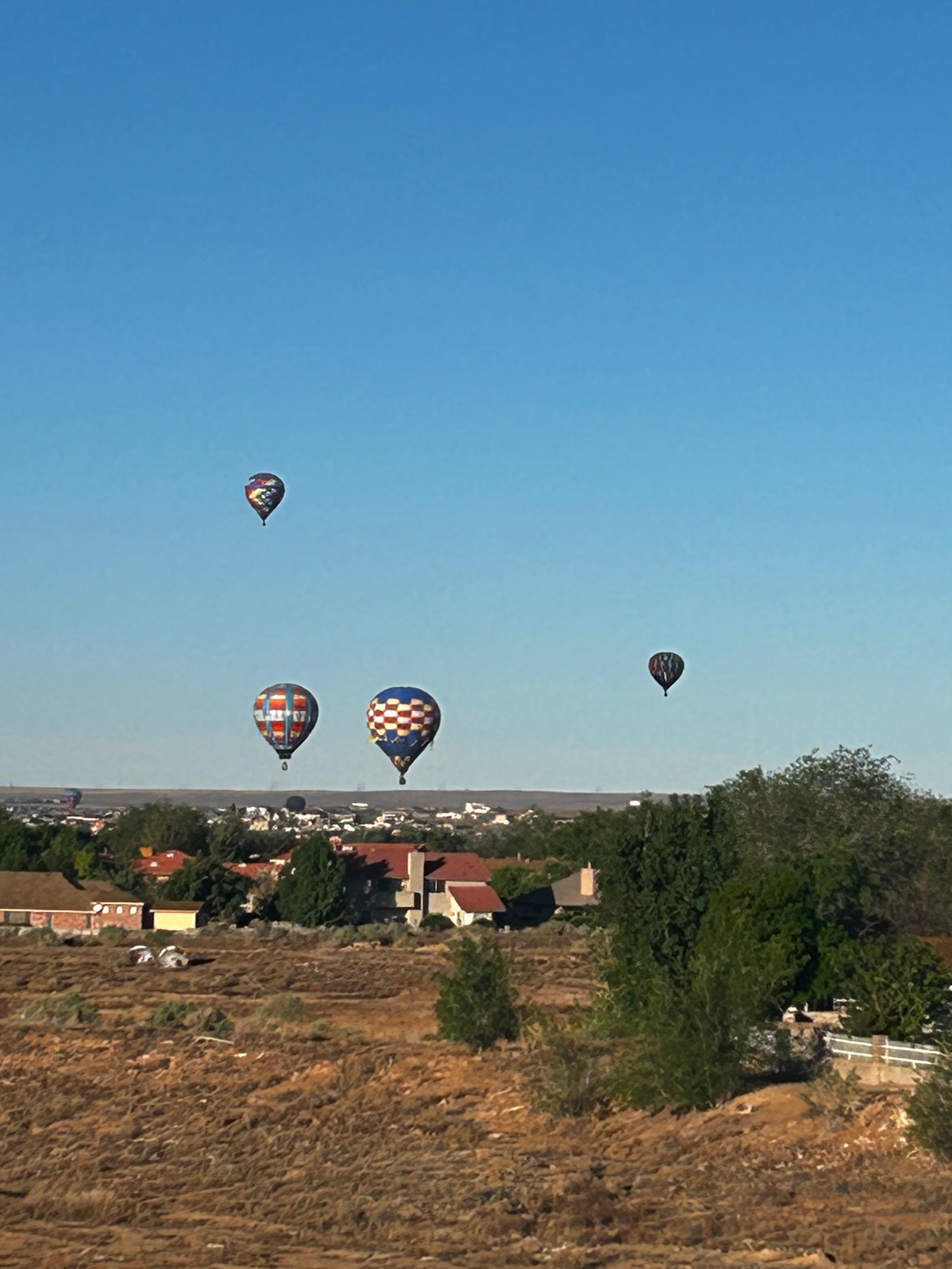 The morning hot air balloons was a treat. 
