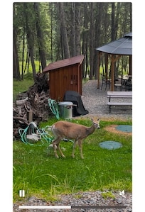 Sipping coffee with nature