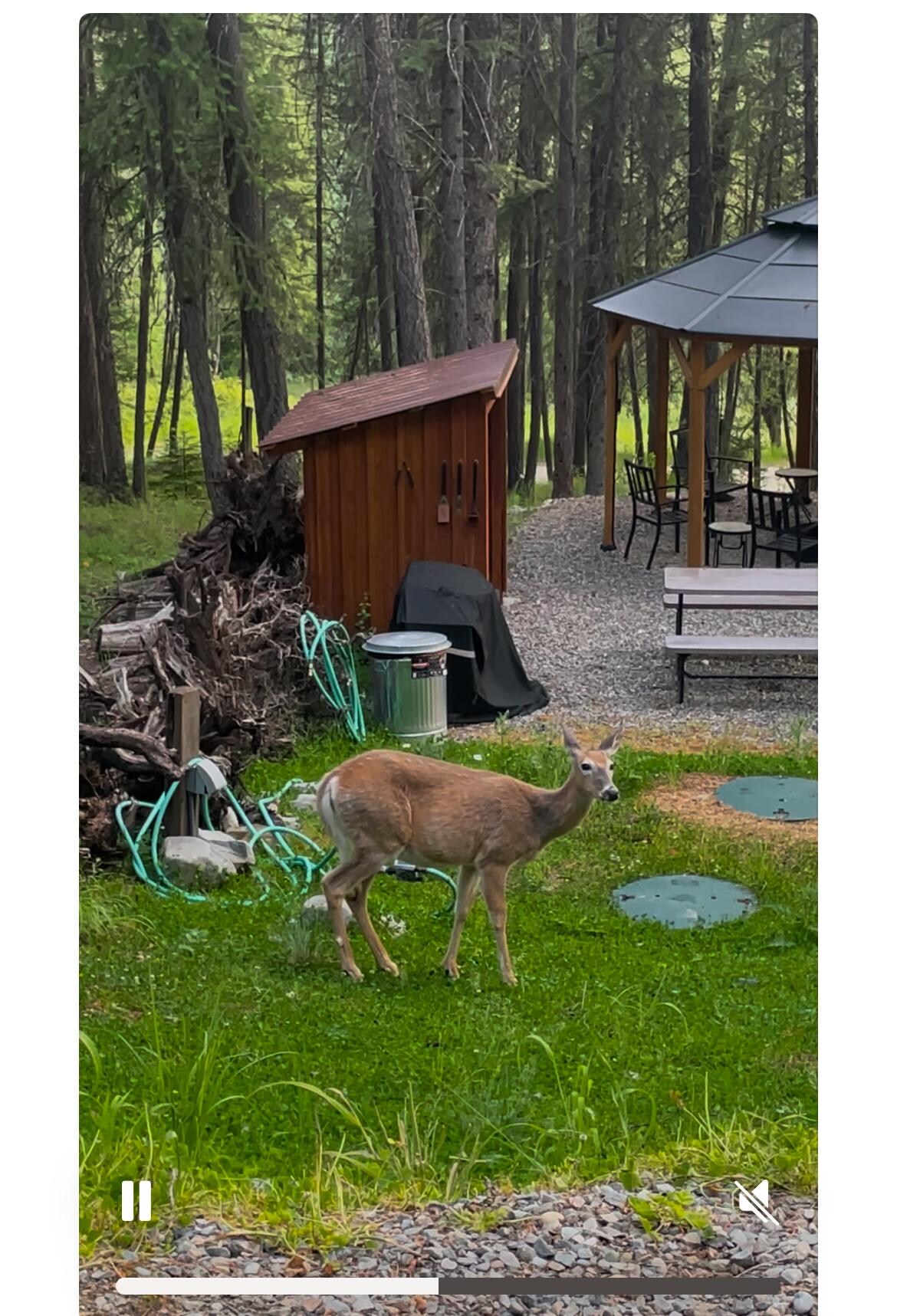 Sipping coffee with nature 
