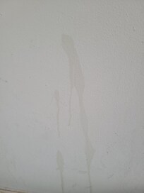 Pee on the walls