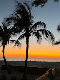 View from back door!