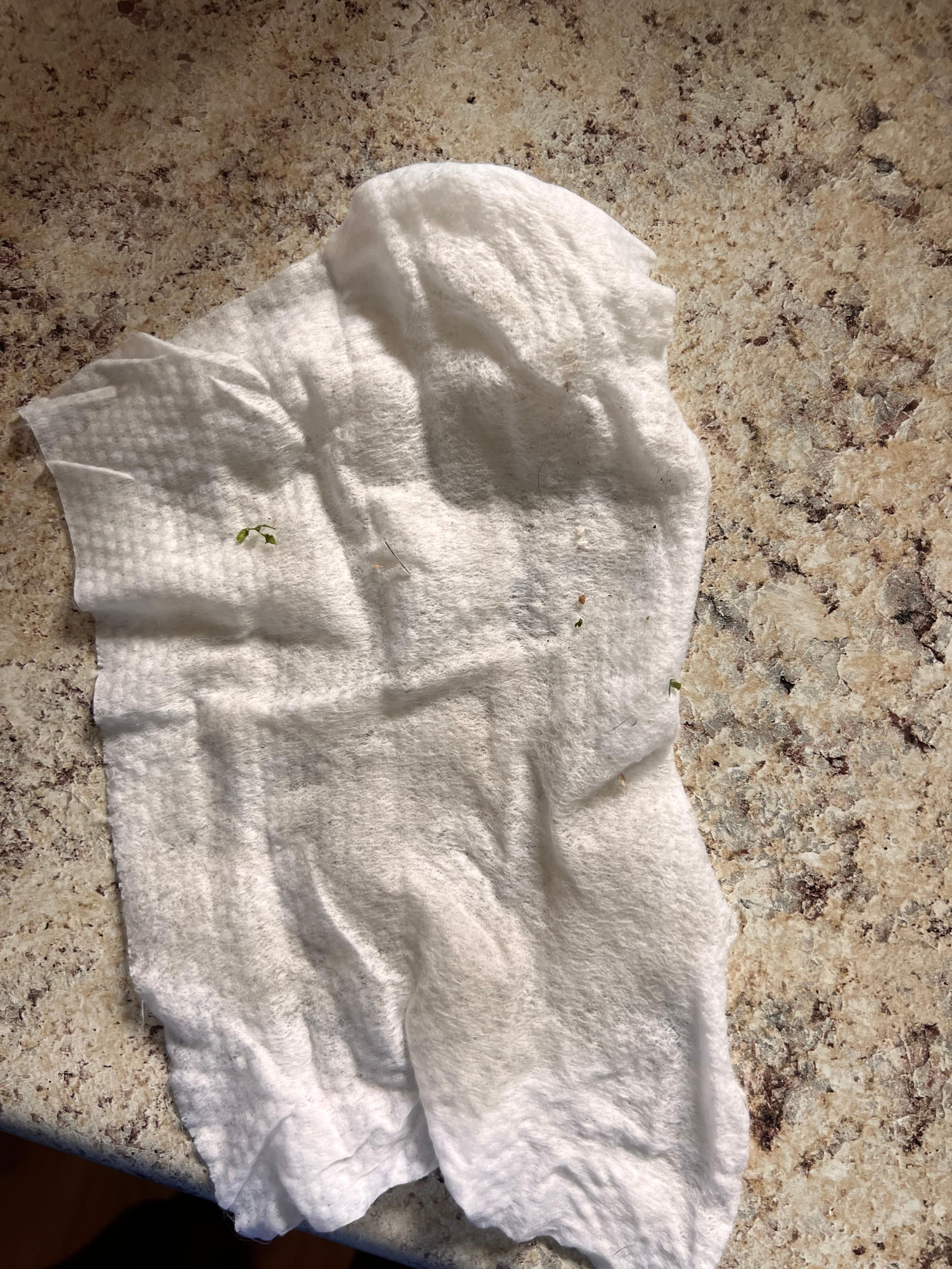 Disinfectant wipe