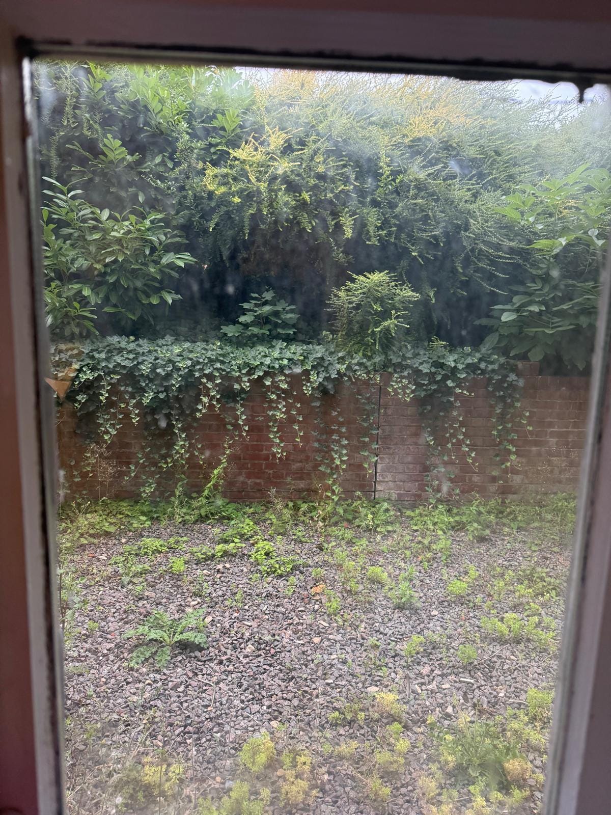 View out of the bedroom in the basement