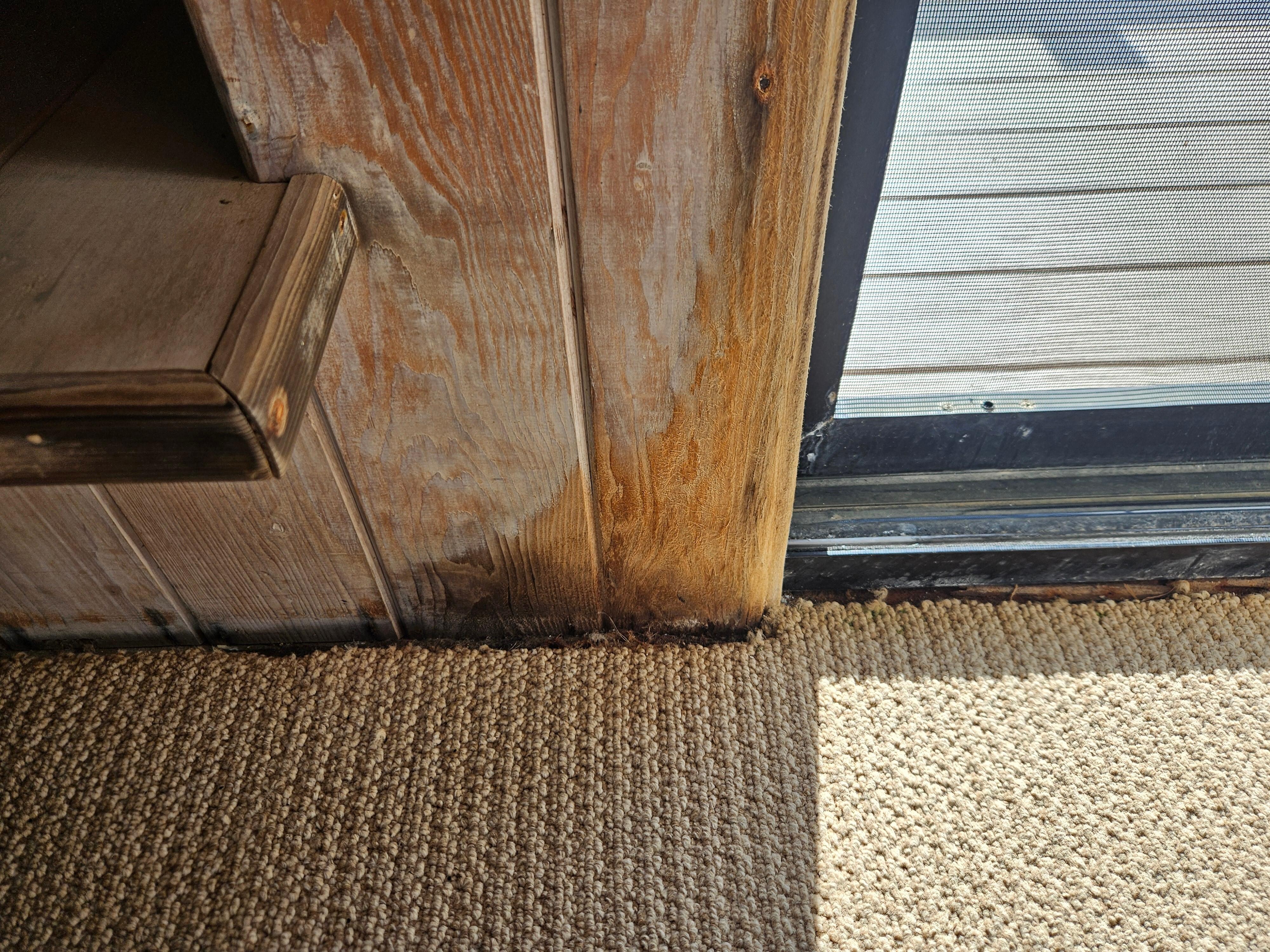 Water damage around all doors