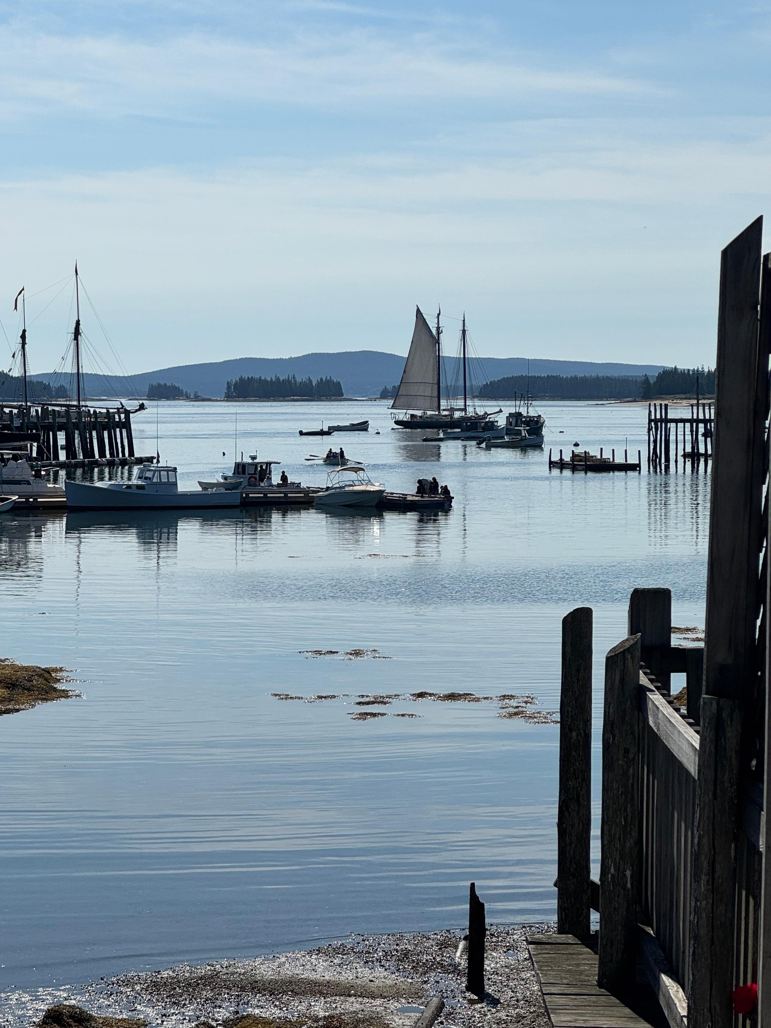 View from the shared deck.