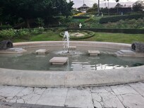 Bellini garden