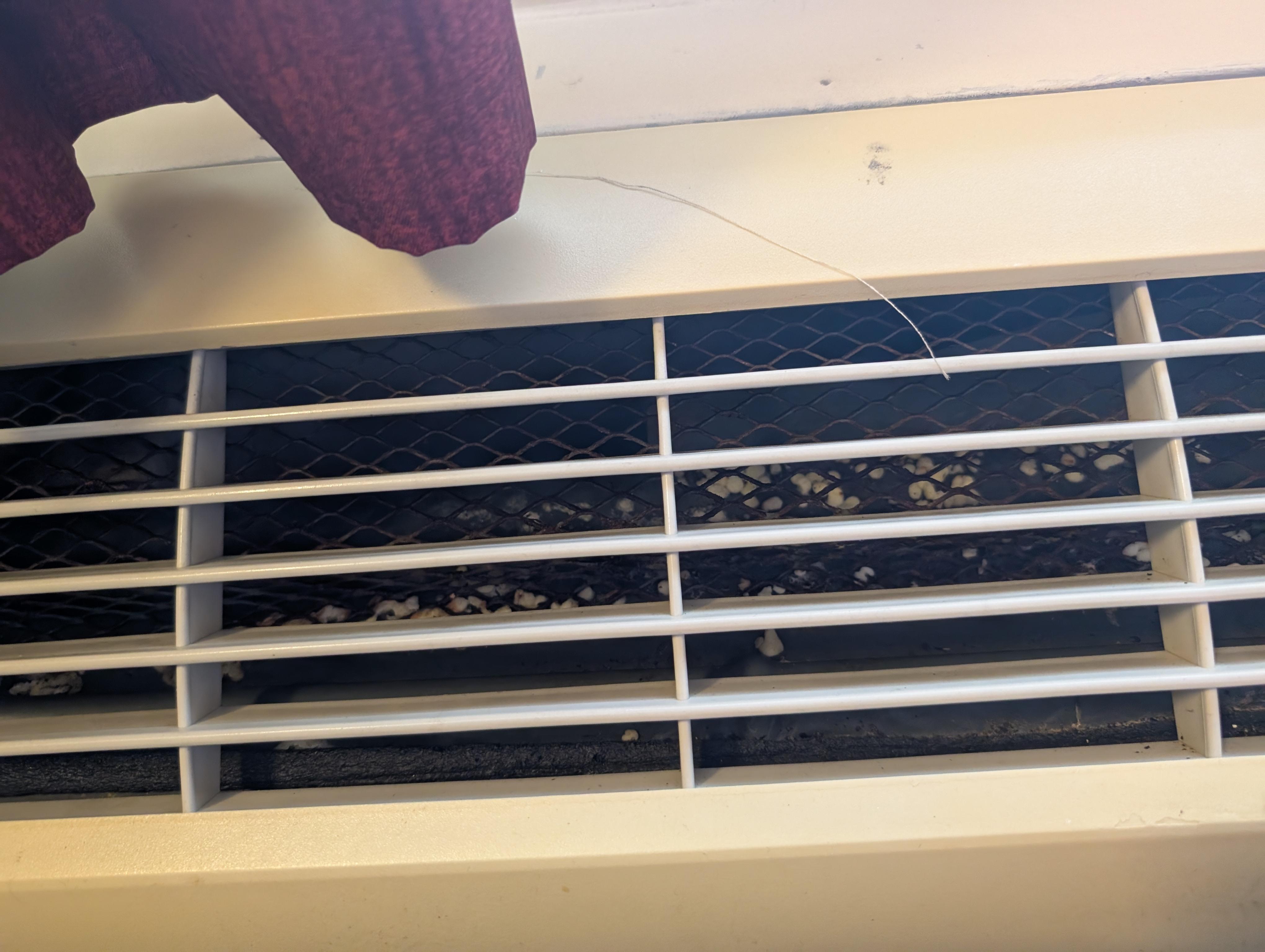 Rotten food or mold in AC vent