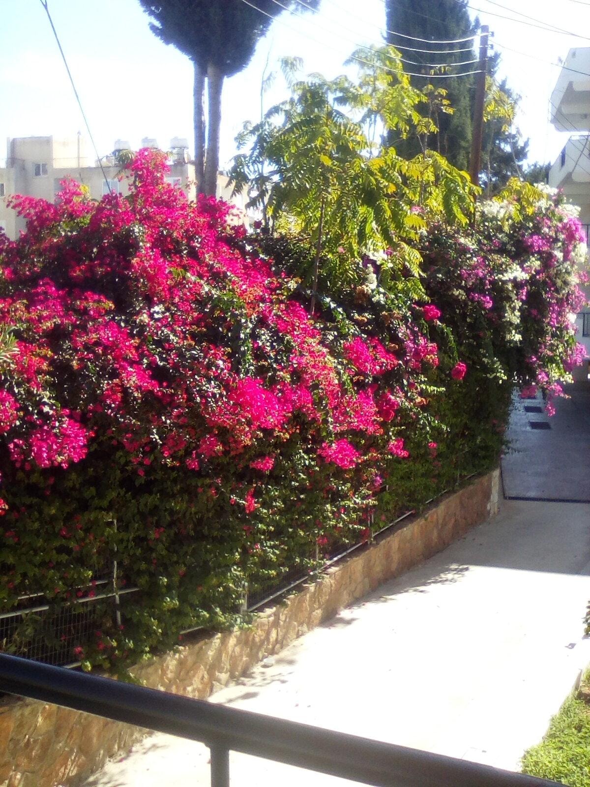 View from the balcony