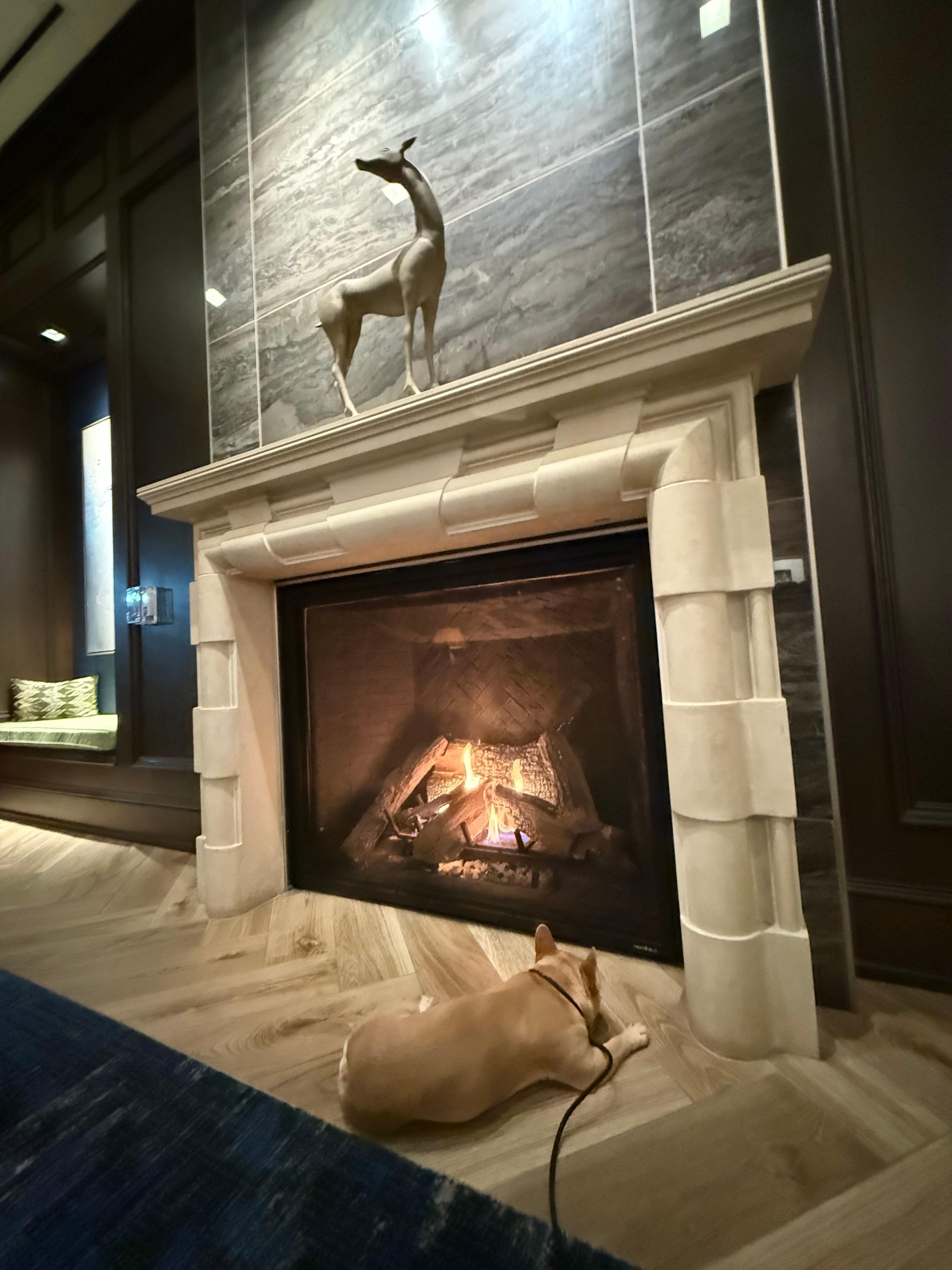 My dog loves it too!!!!