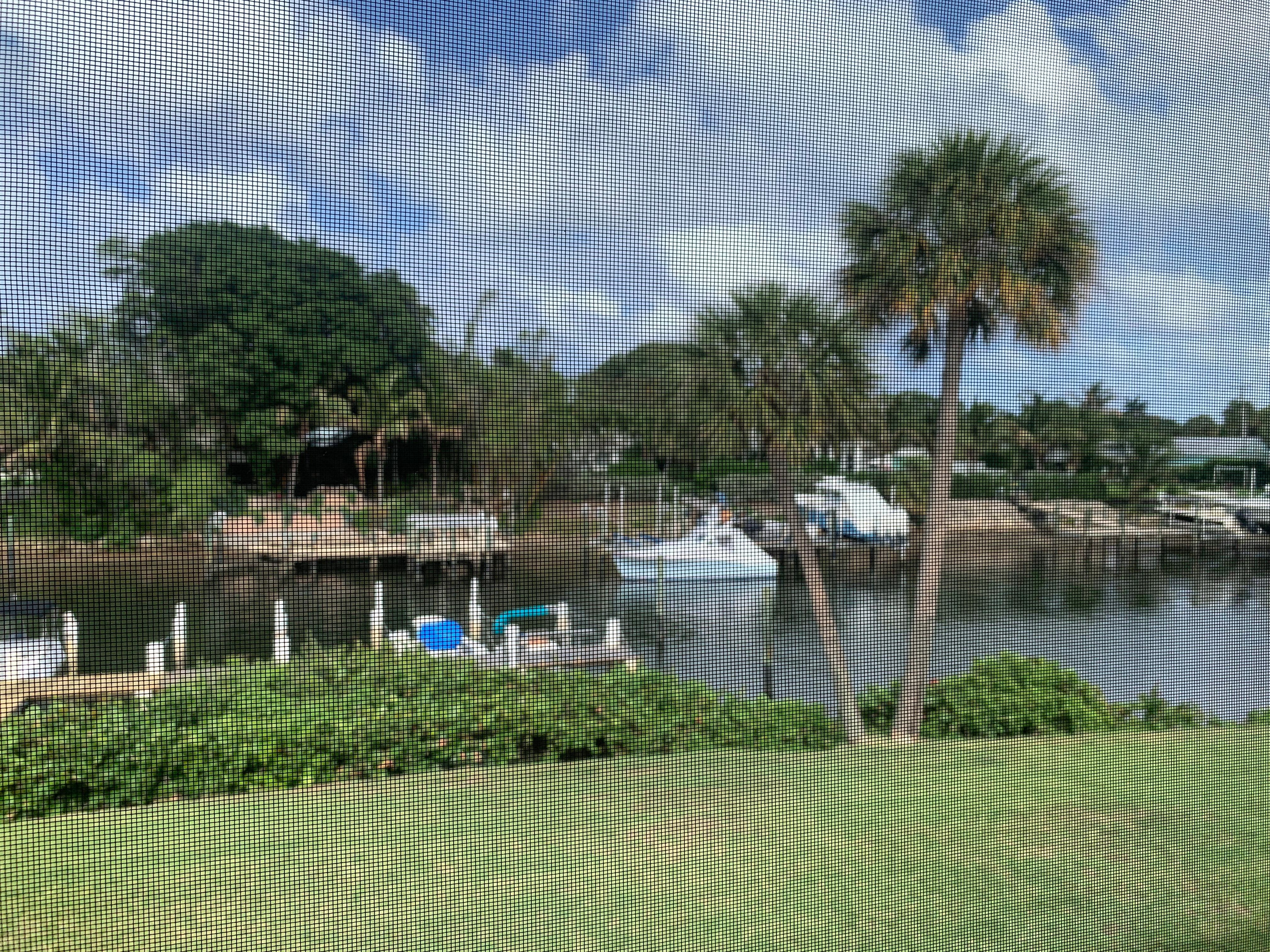 View from the balony