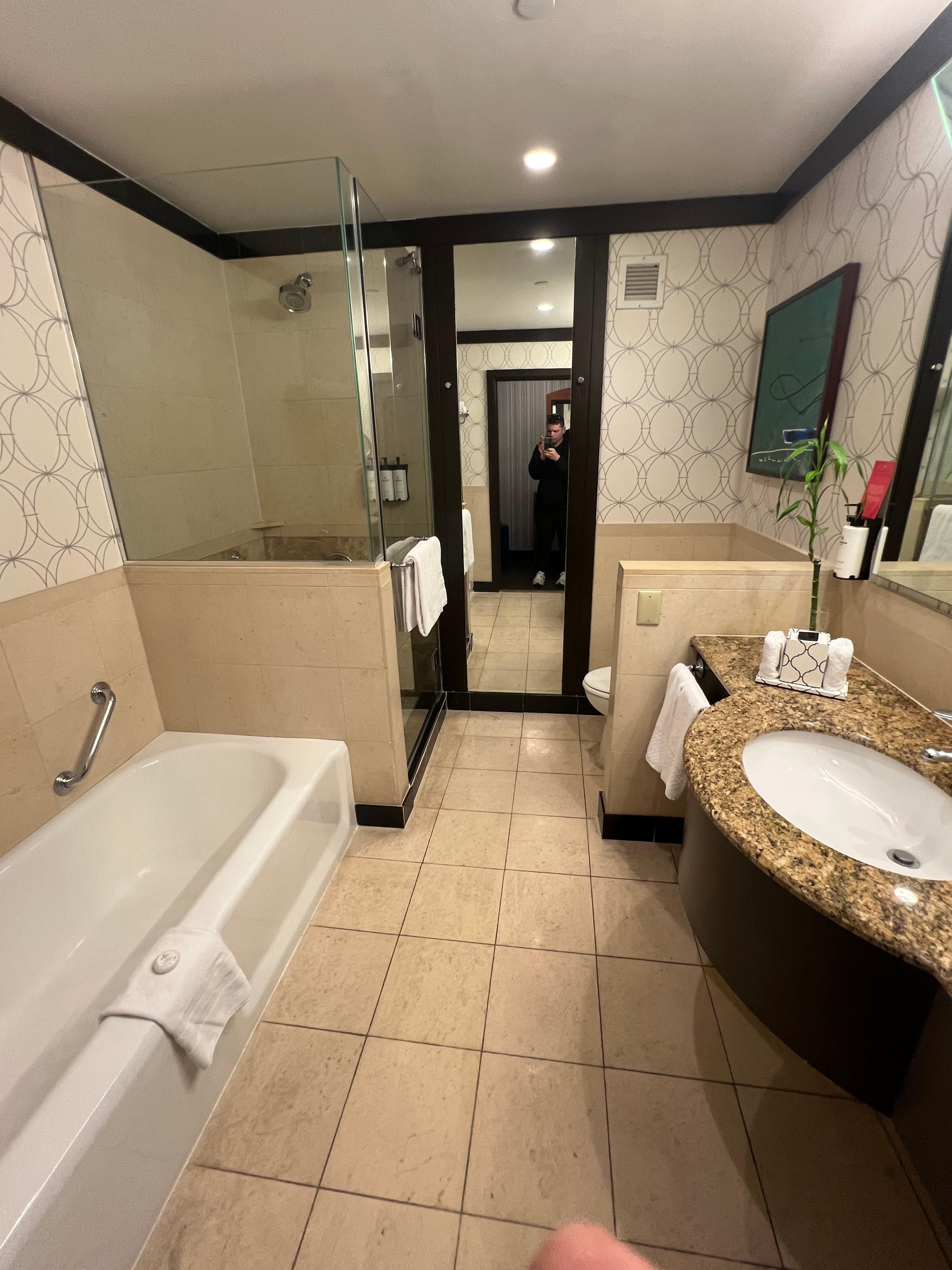 "Luxury Room" Bathroom (huge and well appointed but worn and not up to cleanliness standard)