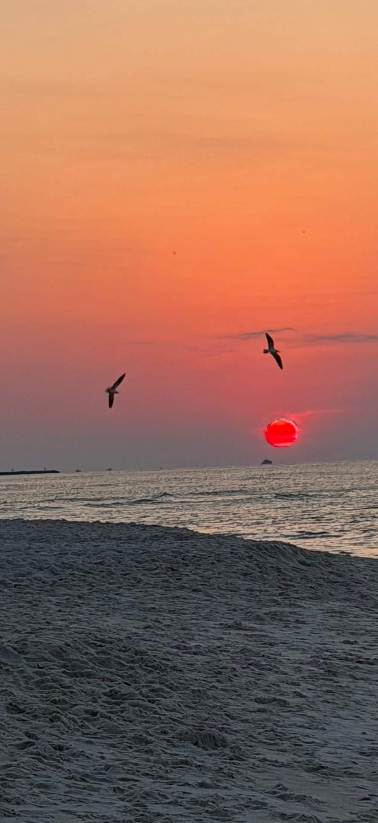 Sunrise on the beach