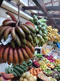 Täglich Markthalle in Funchal
